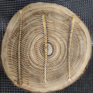image0000011