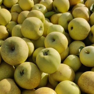Pommes